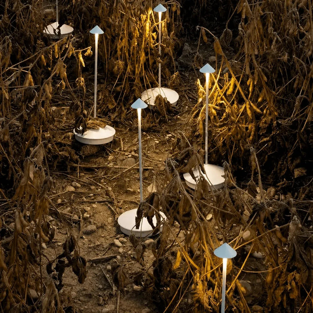 Pinnova - Slim Cordless Dimmable LED Table Lamp - White