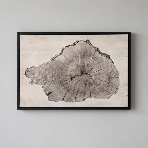 Arborel  - Abstract Tree Ring Interior Wall Art Living Room Decoration