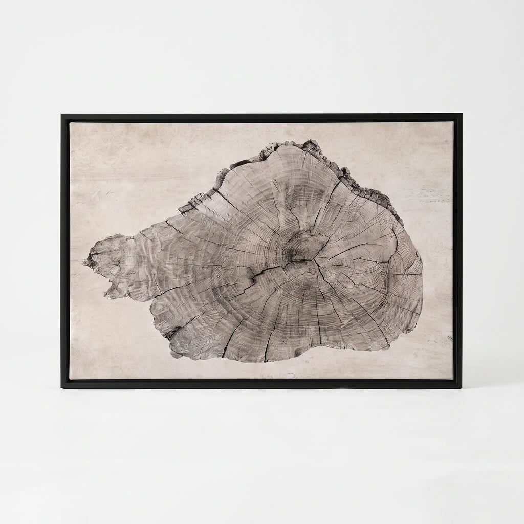 Arborel  - Abstract Tree Ring Interior Wall Art Living Room Decoration