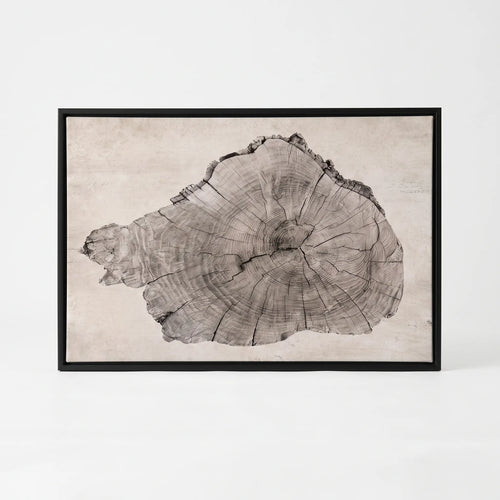 Arborel  - Abstract Tree Ring Interior Wall Art Living Room Decoration