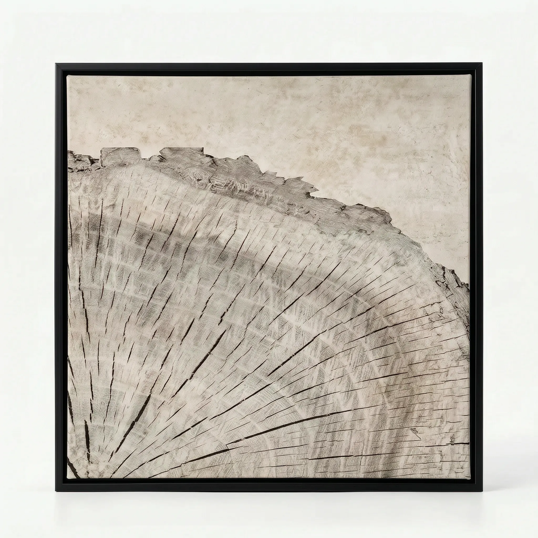 Arborel  - Abstract Tree Ring Interior Wall Art Living Room Decoration