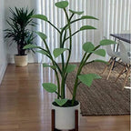 App-controlled LED plant light with glowing leaves in a white pot